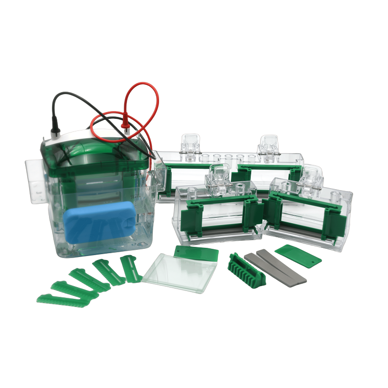 MINI4垂直電泳槽 EPT-VT04